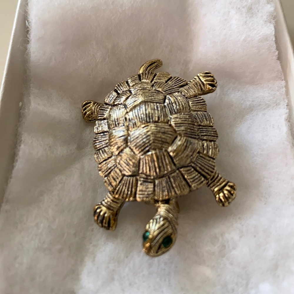 Silver turtle with green eyes.